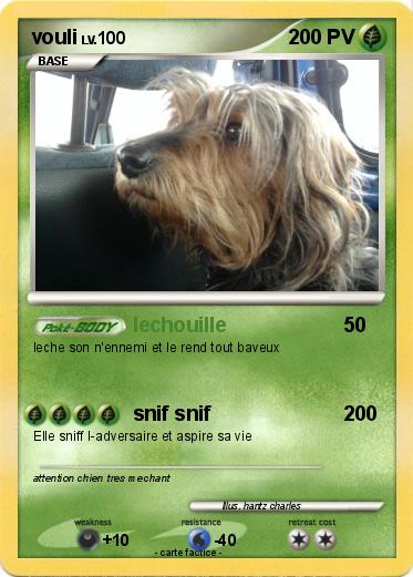 Pokemon vouli