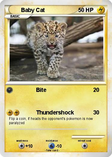 Pokemon Baby Cat