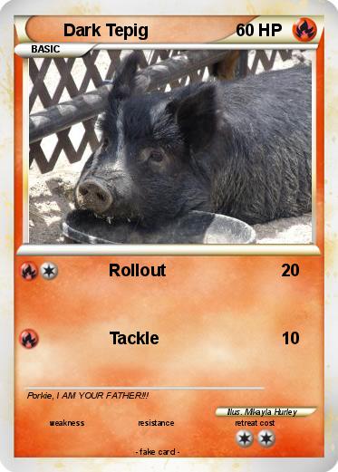 Pokemon Dark Tepig