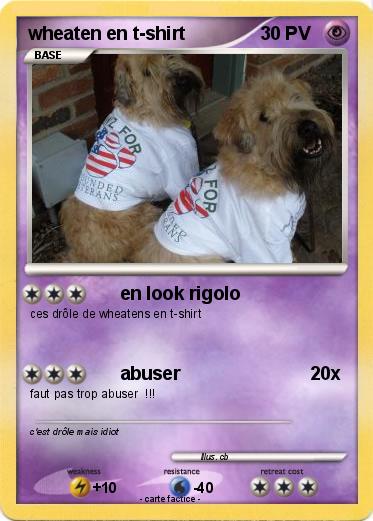 Pokemon wheaten en t-shirt