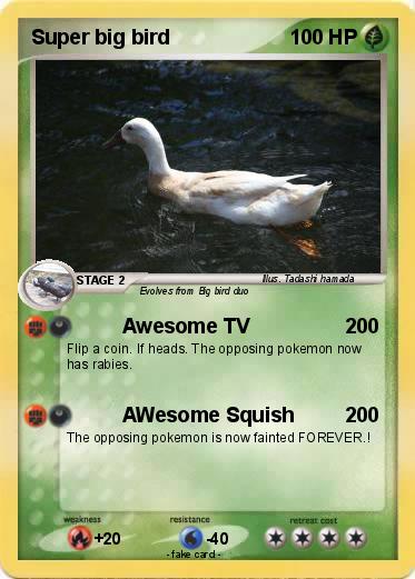 Pokemon Super big bird