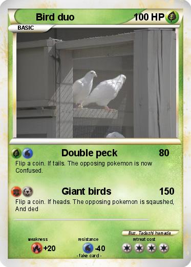 Pokemon Bird duo