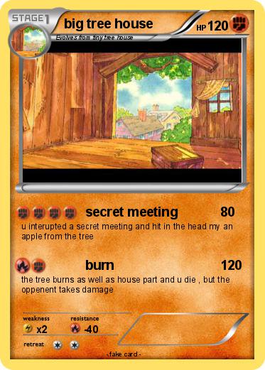 Pokemon big tree house