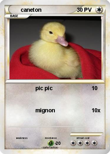 Pokemon caneton