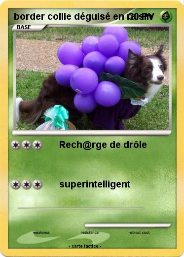 Pokemon border collie déguisé en raisin