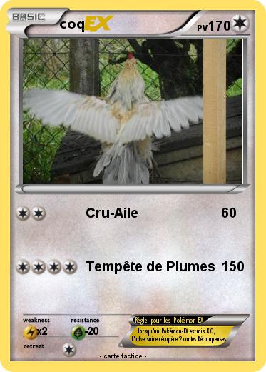Pokemon coq