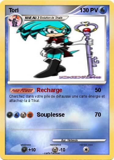 Pokemon Tori