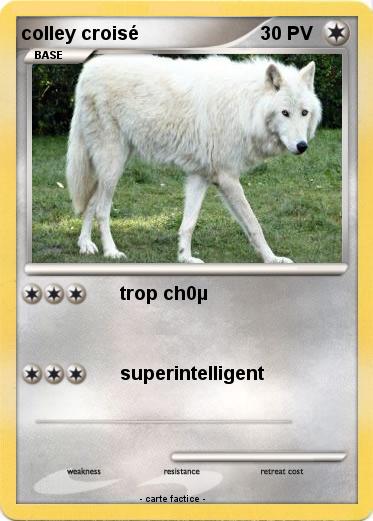 Pokemon colley croisé