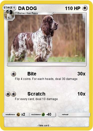 Pokemon DA DOG