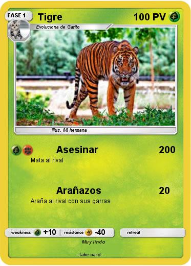Pokemon Tigre