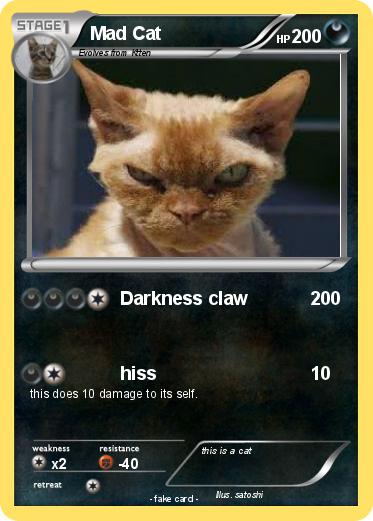 Pokemon Mad Cat