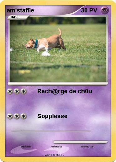 Pokemon am'staffie