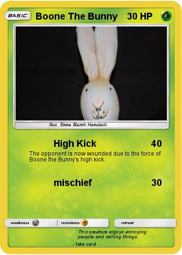 Pokemon Boone The Bunny
