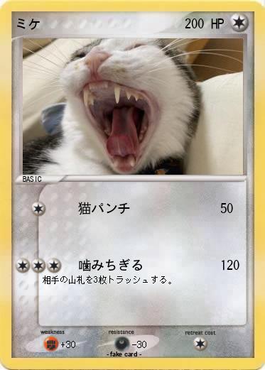Pokemon ミケ