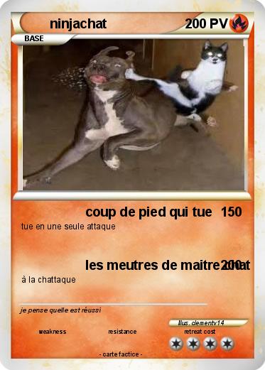 Pokemon ninjachat
