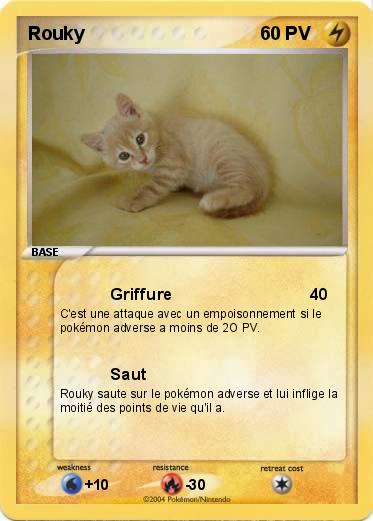 Pokemon Rouky