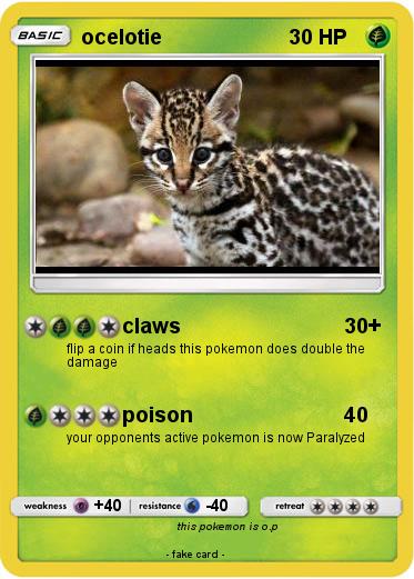 Pokemon ocelotie
