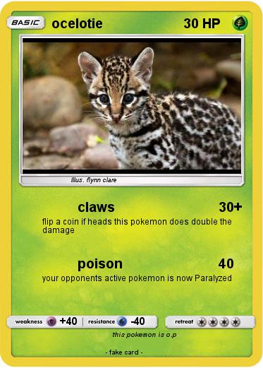 Pokemon ocelotie