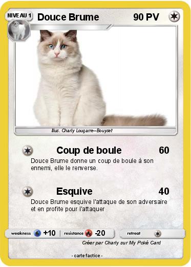 Pokemon Douce Brume