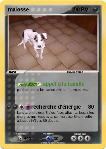 Pokemon malosse