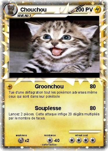 Pokemon Chouchou
