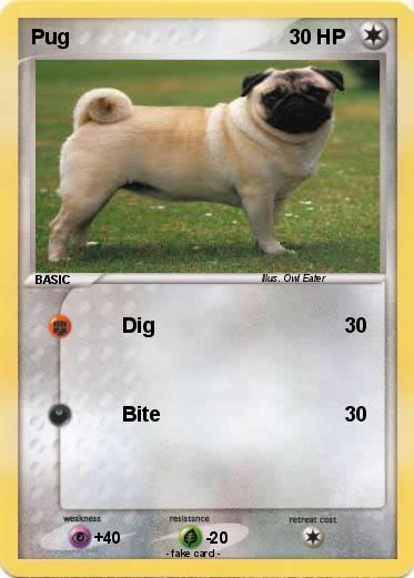 Pokemon Pug