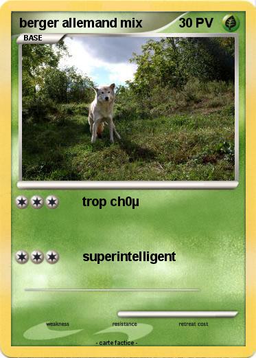 Pokemon berger allemand mix