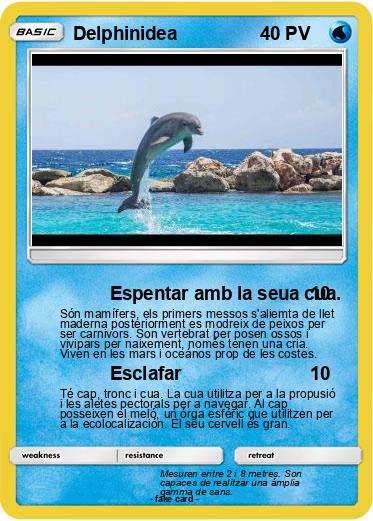 Pokemon Delphinidea