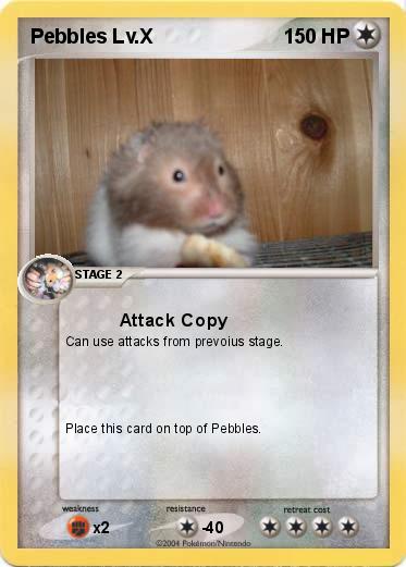 Pokemon Pebbles Lv.X