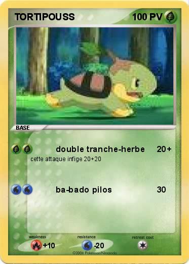 Pokemon TORTIPOUSS