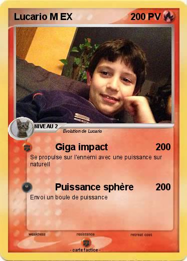 Pokemon Lucario M EX