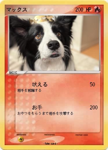 Pokemon マックス