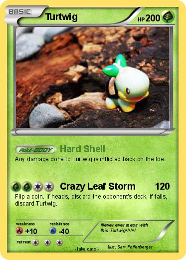 Pokemon Turtwig