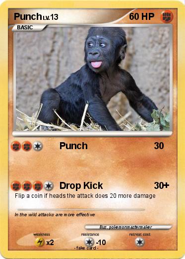 Pokemon Punch