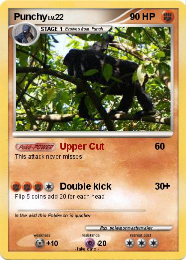 Pokemon Punchy