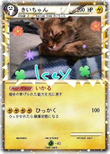 Pokemon きいちゃん