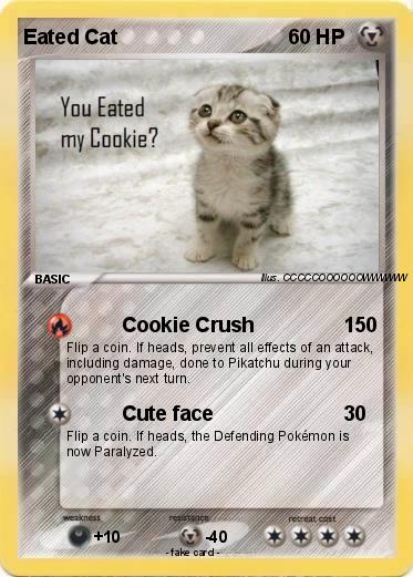 Pokemon Eated Cat