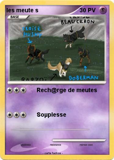 Pokemon les meute s
