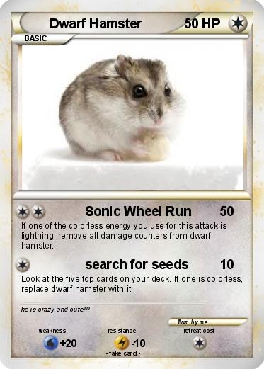 Pokemon Dwarf Hamster
