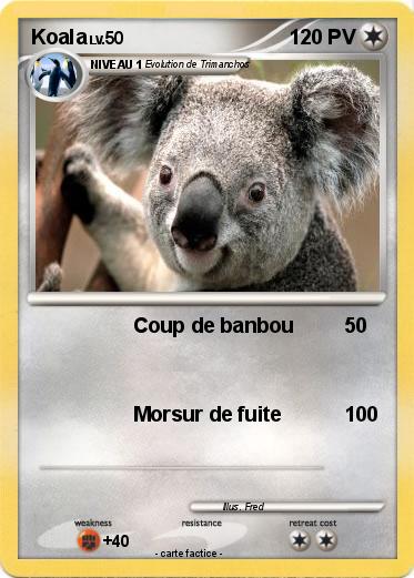 Pokemon Koala