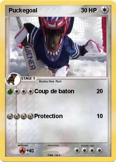 Pokemon Puckegoal