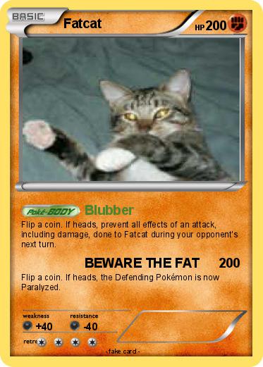 Pokemon Fatcat