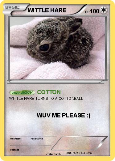 Pokemon WITTLE HARE