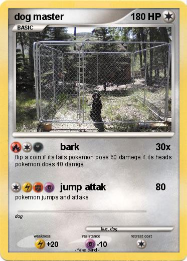 Pokemon dog master