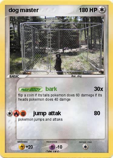 Pokemon dog master