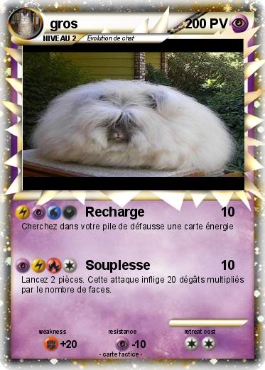 Pokemon gros
