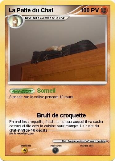Pokemon La Patte du Chat