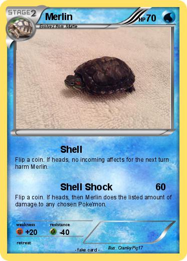 Pokemon Merlin