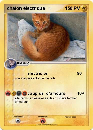 Pokemon chaton electrique