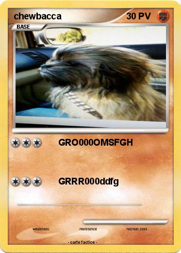 Pokemon chewbacca